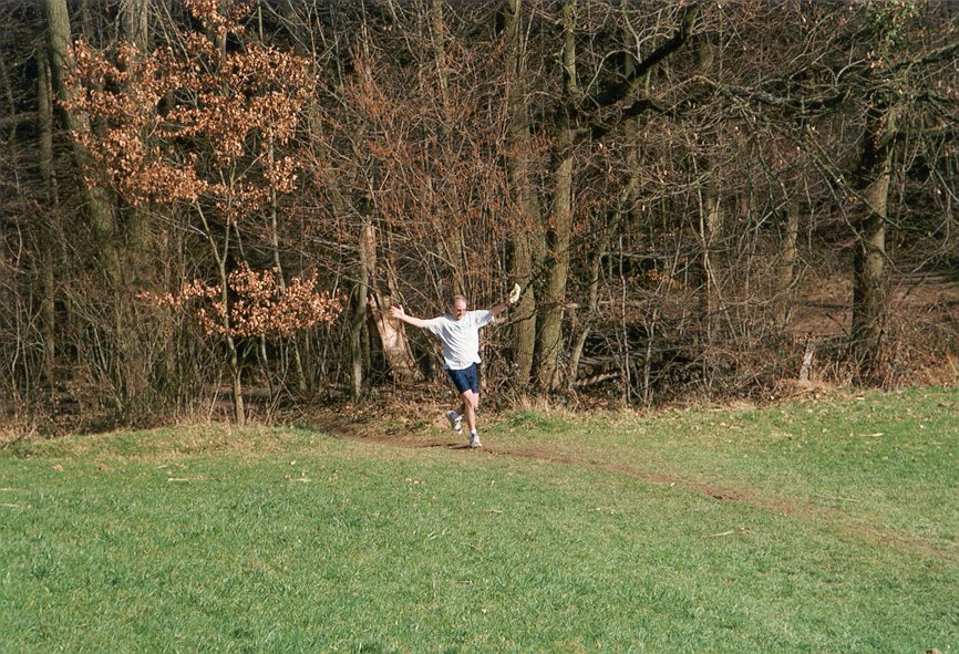 Finally escaping the woods