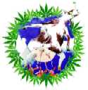 Neato logo